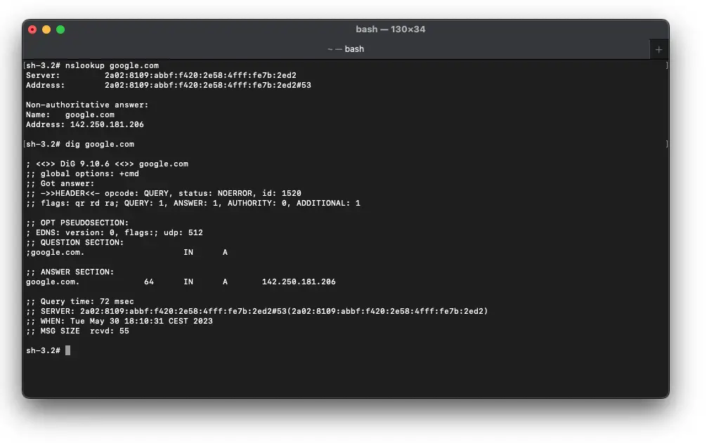 DNS Lookup via console