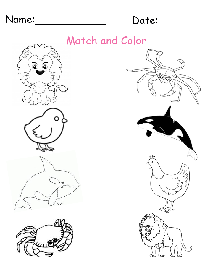 printable matching animals worksheets