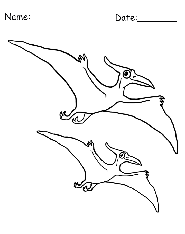 Flying Dinosaur Coloring Sheet