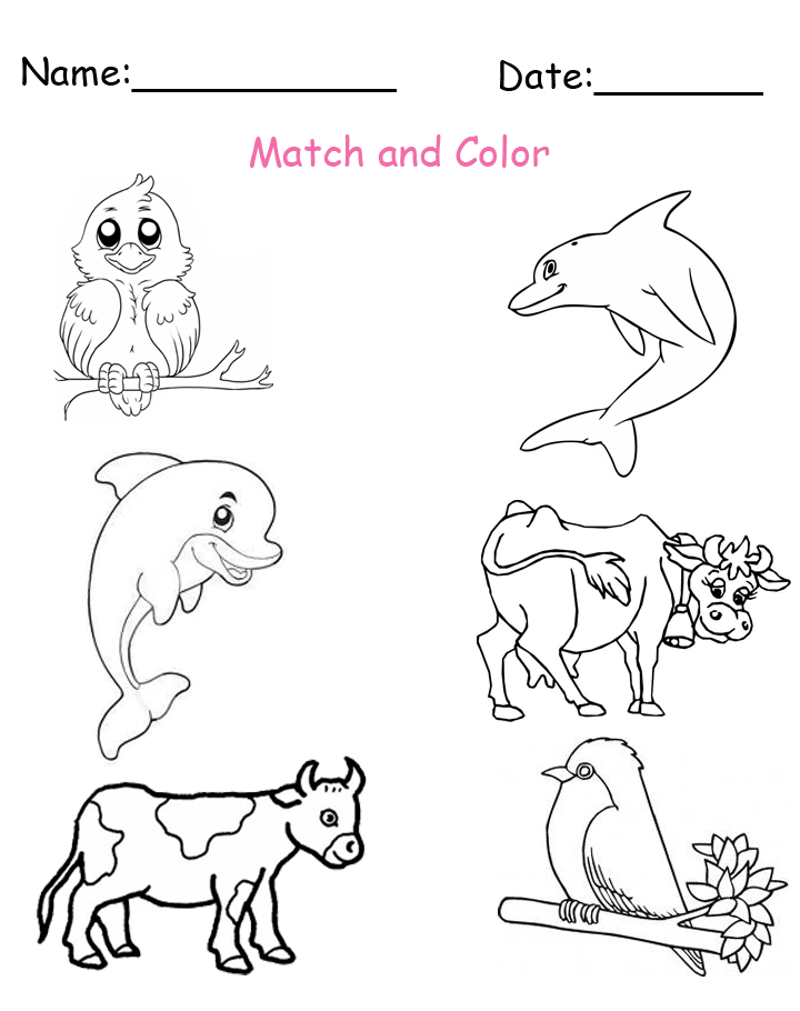 Match and Color the Baby Animals Worksheet