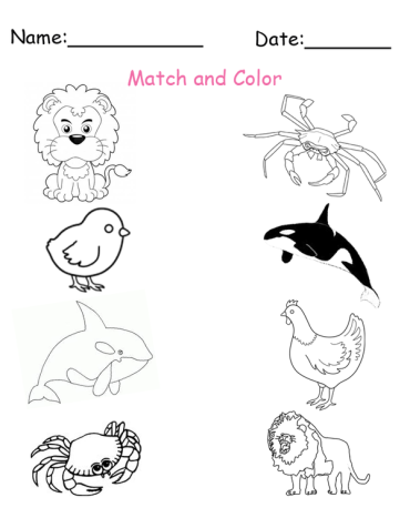 Printable Match and Color Worksheets