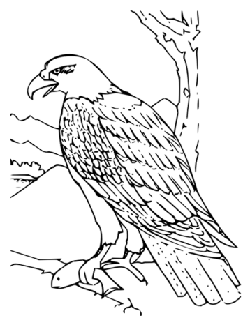 Eagle Coloring Sheet