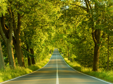 Printable Country Road Nature Picture