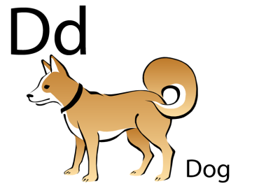 Printable Letter D Worksheet