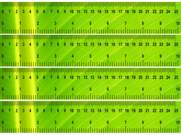 Green Shiny Printable Ruler