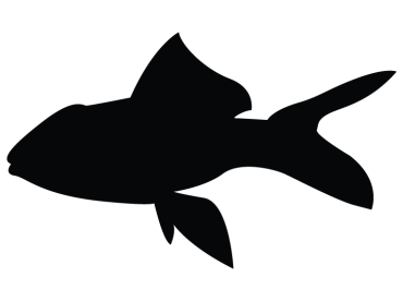 Printable Fish Stencil